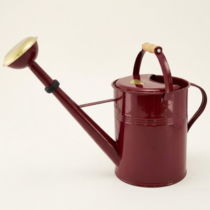 High Quality Galvanized Metal Watering Can With Long Spout For Indoor Outdoor <b>Garden</b> Plant Durable Rust-Resistant Iron Water Pot - Product Image 4