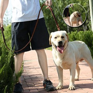 Laisse pour chien Polo de haute qualité en cuir indien teint au tambour avec boucles et clips en laiton, motif en nylon tressé, produits en cuir de qualité supérieure - Product Image 2
