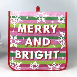 Bolsa de Compras Reutilizable de PP Tejido, Color Personalizado, Tamaño de Mano, Ideal para Regalo de Navidad, Hecha en Vietnam - Product Image 5