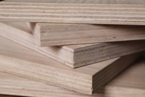 Contrachapado Ecológico Moderno con Revestimiento de Chapa de Roble Blanco para Uso en Interiores - Product Image 4