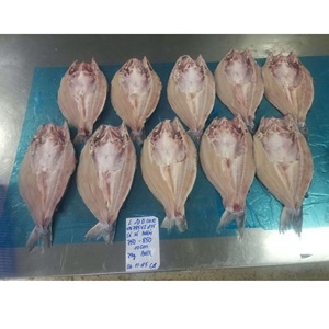 Filet de Pangasius Congelé VH Food, Faible en Glucides, Couleur Naturelle, Qualité Export Vietnam IQF, Tailles 20-35, Style Papillon, Avec Peau/Sans Peau - Product Image 1