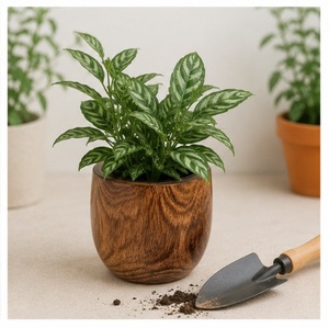 Maceta Redonda Moderna Ecológica de Madera de Mango, Hecha a Mano, de Madera Maciza, para Suculentas y Uso en Jardines Interiores - Product Image 5