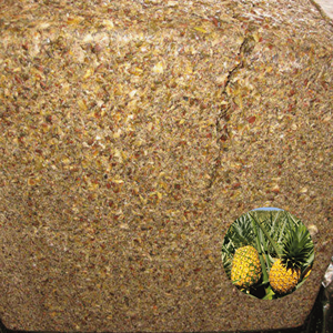 Alimento para Ganado de Primera Calidad para Exportación, Oferta Especial, Ensilaje de Cáscara de Piña, Empacado en Bolsa Jumbo de 500 kg - Product Image 1