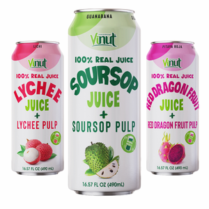 490ml pour VINUT Variété Jus de Fruits Boisson Pulpe Sans Sucre OEM/ODM Marque Privée Échantillon Gratuit Grossiste Prix Vietnam Facto - Product Image 1