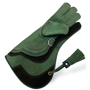Gants de fauconnerie robustes en cuir véritable, protège-mains pour l'entraînement des oiseaux, anti-morsure et anti-griffures, gants de manipulation haut de gamme - Product Image 1