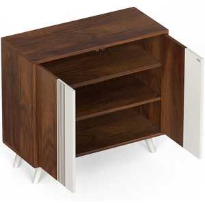 ตู้เก็บรองเท้าแบบตั้งพื้น 2 ประตู ยี่ห้อ Cylvie Engineered Wood สำหรับรองเท้าแตะและรองเท้าทั่วไป - Product Image 3