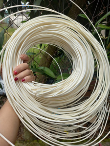Natural Rattan <b>Garden</b> Support Sticks – Vietnam Supplier for Agricultural Use - Product Image 3