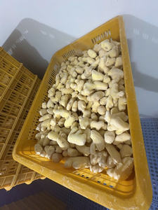Frozen Whole Ginger Root Peeled Natural Rhizome For Culinary Processing And <b>Sauce</b> Production Bulk Supply From Vietnam - Product Image 3