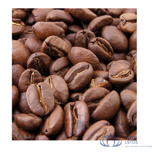 เมล็ดกาแฟโรบัสต้าดาคลักเวียดนามขายดีที่สุด คุณภาพสูง คั่วกลาง รสหวาน กลิ่นหอมเข้มข้น เพิ่มพลังงาน - Product Image 1