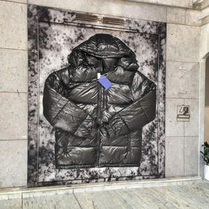 Chaqueta de Invierno para Hombre, Diseño Moderno, Acolchada, Brillante, Estilo Hip Hop, con Cierre Frontal, Tipo Polo - Product Image 2