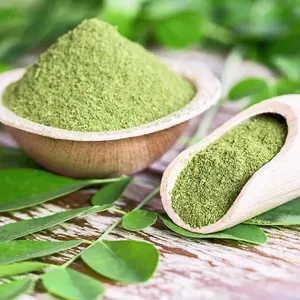 Wholesale Best Selling High Quality Solvent Extraction Fresh Curry Leaves Powder at Cheap Price