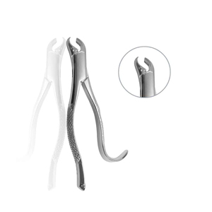 Clinical extraction <b>tool</b> designed for dentists offering firm hold and <b>smooth</b> handling in tooth removal procedures Dental Forceps - Product Image 1