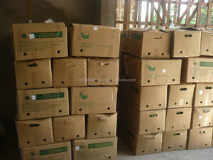 Plátanos Frescos de Vietnam, Plátano Cavendish, Venta al por Mayor a Granel, Exportación de Frutas Tropicales 2025 - Product Image 6