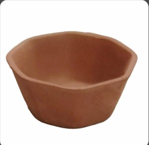 Tazón Desechable de Terracota para Fiestas Hecho en India - Product Image 3