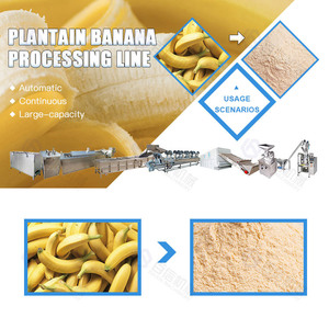 เครื่องหั่นผงกล้วย30-1000กก. สายการผลิตสำหรับตัดแป้งกล้วย - Product Image 5