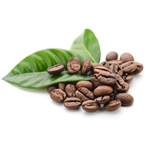 Grains de café crus, café torréfié de marque Directly pour usage commercial - Product Image 3