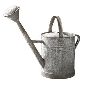 Artículos de jardín de alta calidad para decoración del hogar, caña de riego para plantas, Hotel, casa usada, bastón galvanizado más vendido - Product Image 1