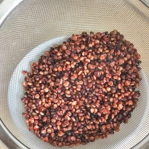 Graines de millet fraîches pour des boulles de petit-déjeuner nutritives, la pâtisserie et des plats traditionnels, avec une saveur naturelle, céréales propres - Product Image 1