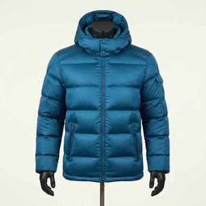 Veste matelassée à capuche pour homme, hiver, décontractée, coupe-vent, fermeture éclair, couleur unie, polyester, rembourrage en duvet, coupe classique - Product Image 1