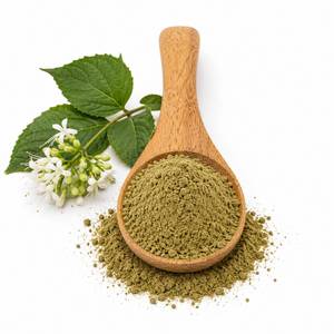 Fabricant de confiance d'extraits végétaux : Poudre d'extrait de Bharangi, ingrédient botanique de haute pureté pour les produits nutraceutiques et le bien-être - Product Image 2