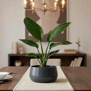 Elegante Maceta de Metal para Flores, para Sala de Estar u Oficina, Maceta Premium para Suculentas de Sobremesa, Moderna Maceta Decorativa, Regalo para el Hogar - Product Image 2