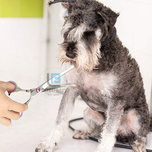Tijeras Curvas de Acero Inoxidable de Alta Calidad para Peluquería Canina, Diseño Nuevo, Duraderas, Ecológicas, Venta Directa de Fábrica - Product Image 5