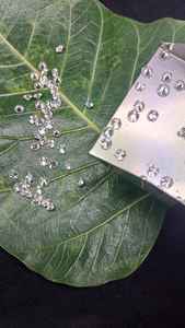 เพชรทรงกลมเจียระไนแบบบริลเลียนท์ธรรมชาติ ตกแต่งบนใบไม้สีเขียว สำหรับรุ่น RD-N22 ที่ได้รับการรับรอง จากผู้ผลิตโดยตรง Ramdut Impex - Product Image 3