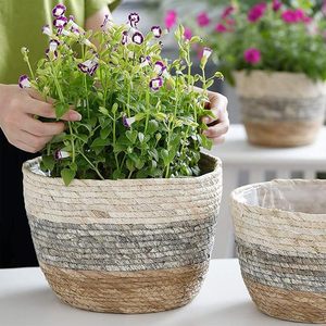 Juego de 3 Macetas de Fibra de Seagrass Biodegradables y Ecológicas de Alta Calidad, Estilo Rústico, Más Vendidas para Jardín, Interior y Exterior - Product Image 3