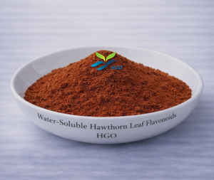Approvisionnement direct d'usine HGO d'extrait de feuille d'aubépine naturel pur (Crataegus pinnatifida) flavonoïdes de feuille d'aubépine solubles dans l'eau - Product Image 1