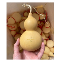 Gourde séchée naturelle écologique, citrouille décorative pour la peinture artisanale, la décoration intérieure et les projets traditionnels faits à la main