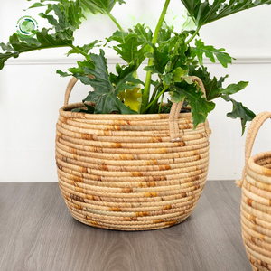 Juego de 2 Cestas Multiusos de Jacinto de Agua con Asas, Cestas de Almacenamiento Hechas a Mano, Venta al por Mayor, Ecológicas, Hechas en Vietnam - Product Image 4