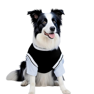 Camisetas para Perros de Diseño Más Vendidas, Chalecos Lindos para Cachorros, Ropa para Gatos con Logotipo y Colores Personalizados, Camisetas Cómodas Lisas para Cachorros - Product Image 3
