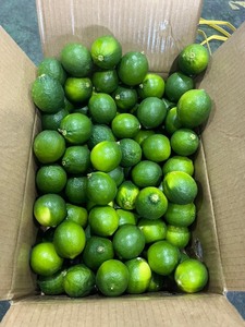 Meilleures ventes : Tranches de citron vert sans pépins lyophilisées AD, qualité alimentaire, garniture pour boissons, emballage sous vide, en vrac, norme export 2026 - Product Image 6