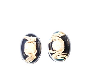 Cabujón de Plástico con Espécimen Real de Cangrejo Ovalado de 12x18 mm sobre Base Plana Negra para Manualidades y Joyería - Product Image 1