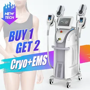 Free shipping 2 in 1 ems neo ice sculpt fat burning freeze fat removal slim weight loss machine body slim cryo lipolysi ems