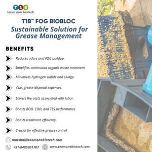 Équipement de cuisine commerciale FOG Bio Block pour les systèmes de drainage des graisses des eaux usées - Product Image 1