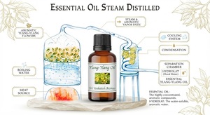 Ylang Ylang <b>Essential</b> <b>Oil</b> Pure Botanical <b>Oil</b> for Cosmetic Personal Care Aromatherapy Fragrance and Bulk Manufacturing Supply - Product Image 5