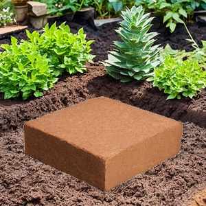 พรุโกโก้เพื่อการเกษตรและพืชสวนคุณภาพสูงจากเวียดนาม - Product Image 1