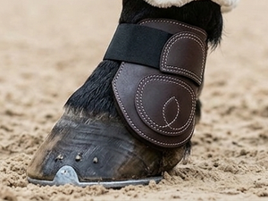 HM GLOBAL Equestrian Elite – Ensemble de protège-tendons et de protège-chevilles en cuir véritable pour chevaux, design personnalisable, protection des jambes, sangle élastique - Product Image 5