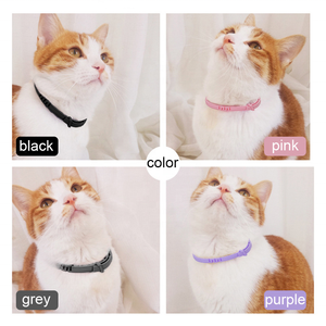 Collares ajustables para mascotas, <span class=keywords><strong>collar</strong></span> de gatito, suministros para perros y gatos, <span class=keywords><strong>collar</strong></span> <span class=keywords><strong>antipulgas</strong></span> para mascotas - Product Image 2