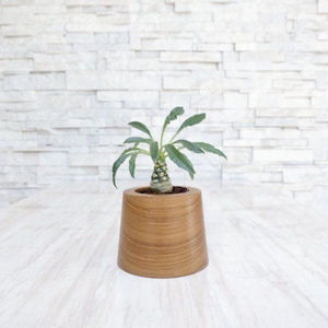 Pot de fleurs en bois de pin naturel artisanal, décoration intérieure moderne, pot carré en bois pour jardin et présentation sur table - Product Image 2