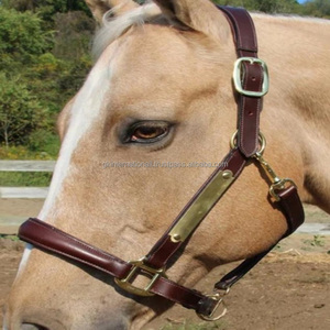 Licou de cheval en cuir de forme anatomique de qualité supérieure avec couronne de muserolle rembourrée et quincaillerie en laiton réglable solide - Product Image 1
