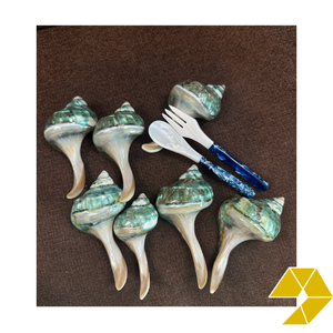 Cuillère en coquillage du Vietnam pour des décorations de table uniques, mariages sur la plage, repas en station balnéaire, collections de cadeaux, marchés artisanaux faits à la main - Product Image 1
