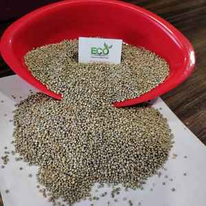 ลูกเดือยทั่วไป - Product Image 6