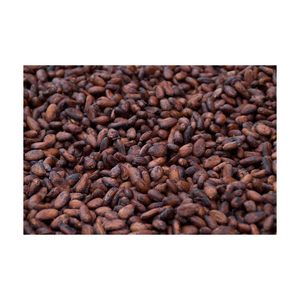 Fournisseur en gros de fèves de cacao de la meilleure qualité à vendre à prix avantageux - Product Image 4