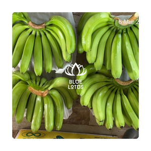 ¡OFERTA ESPECIAL! Plátano Cavendish Fresco, Limpio, Puro, Seguro y Dulce para Aporte de Fibra y Energía. Venta Directa al por Mayor para Exportación en Caja. - Product Image 6