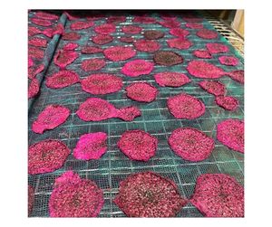 Export <b>Quality</b> Dehydrated Dragon Fruit Direct From Vietnam Factory - Natural Dehydrated Dragon Fruit For Food Industry - Product Image 4