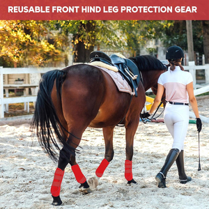 Bottes anti-mouches pour chevaux en nylon respirant, légères, personnalisées, protection complète des jambes, nouveau design 2026, service OEM, confortables - Product Image 2