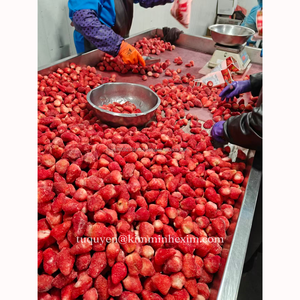 Fresas Enteras Congeladas IQF de Vietnam, Marca KMI, 10 kg, Naturalmente Dulces, Perfectamente Congeladas, Empaque a Granel - Product Image 4