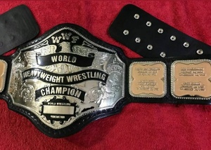 Cinturón de Campeonato Mundial de Peso Pesado Personalizado con Placa de Identificación de Latón de 2 mm, Cinturón de Lucha Libre - Product Image 2